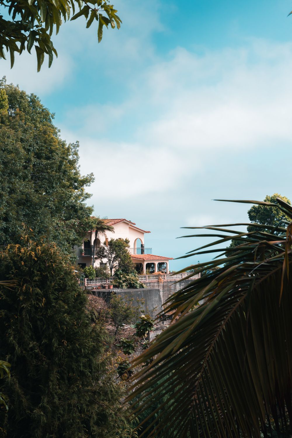 A terracotta-roofed house among Madeira’s lush gardens